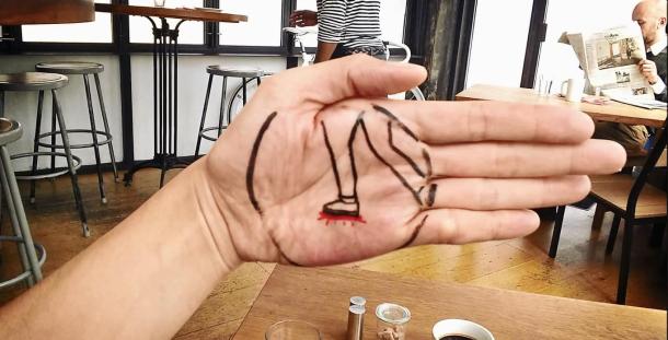 5. le-petit-poisson-s-est-fait-ecraser-par-le