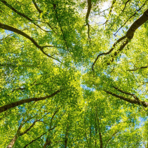 L’impact écologique des lunettes&nbsp;connectées
