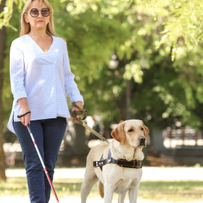 Des lunettes infrarouges connectées à un brassard : une aide innovante pour les&nbsp;aveugles